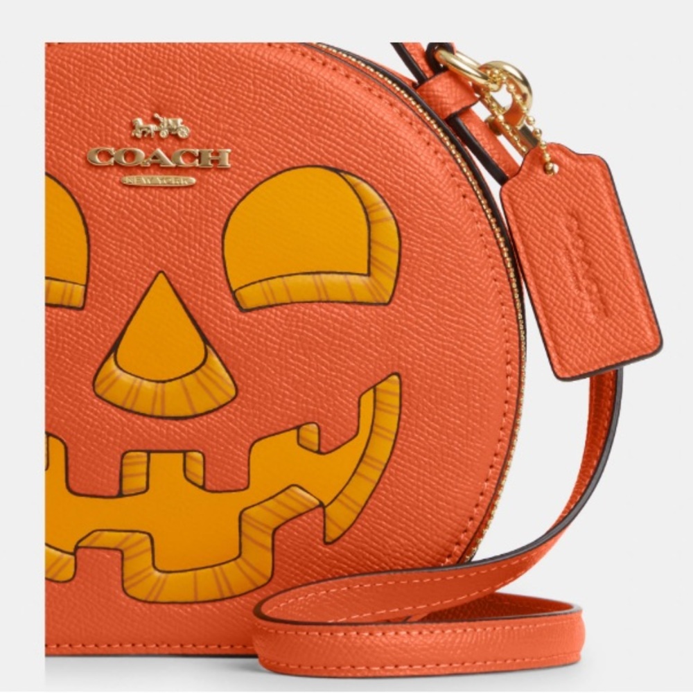 Coach Pumpkin Canteen Crossbody - Picture 4 of 12